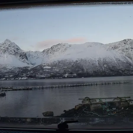 キャンプ場 Captains Small House *