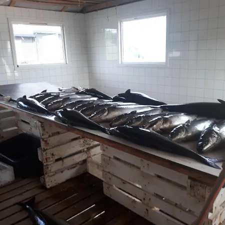 Captains Small House Hamneide